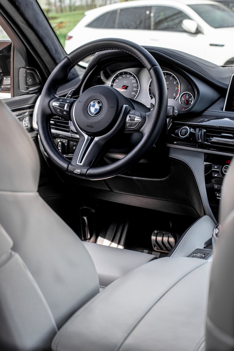 BMW X5 xDrive30d M Sport detail